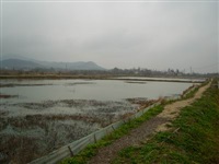 龍蝦養(yǎng)殖8