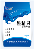 黑精靈