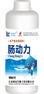 腸動(dòng)力