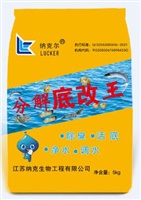 分解底改王