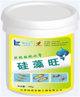 硅藻旺